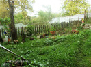 iulie 2012 059