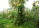 iulie 2012 061