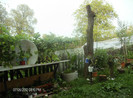 iulie 2012 065