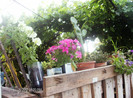 iulie 2012 067