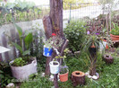 iulie 2012 069