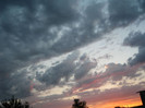 Gradina iunie 2012 138