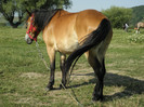 P7053254