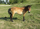P7053244