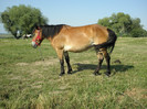 P7053251