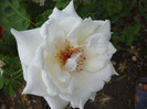 P1000922