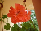 P1000956