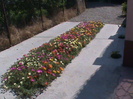DSC01731