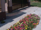DSC01732
