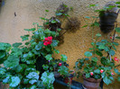 DSCN0082