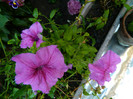 DSCN0083