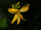 DSCN0085