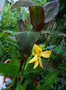 DSCN0087