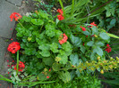 DSCN0089
