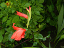 DSCN0092