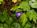 DSCN0097