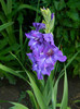 DSCN0099