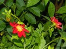 DSCN0107