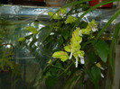 DSCN0119