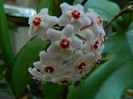 DSCN0125