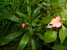 DSCN0126