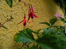 DSCN0134