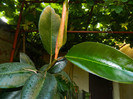 DSCN0138