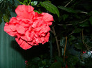 DSCN0154