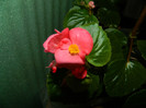 DSCN0155