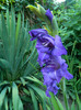 DSCN0156