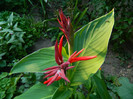 DSCN0161