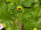 DSCN0167