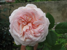 A SHROPSHIRE LAD