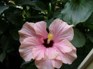 DSC09001