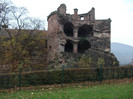 cetate Heidelberg