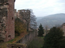 cetate Heidelberg 3