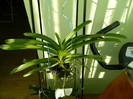 DSCN0509