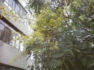 P26-06-12_12.40