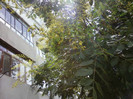P26-06-12_12.40[1]