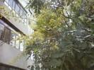 Resize_P26-06-12_12.40