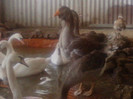 Photo0420