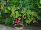 DSCN0175