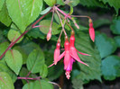 DSCN0176