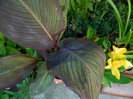 DSCN0178