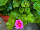 DSCN0181