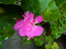 DSCN0182