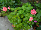 DSCN0183