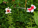 DSCN0185