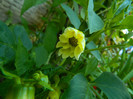DSCN0186