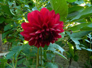 DSCN0187